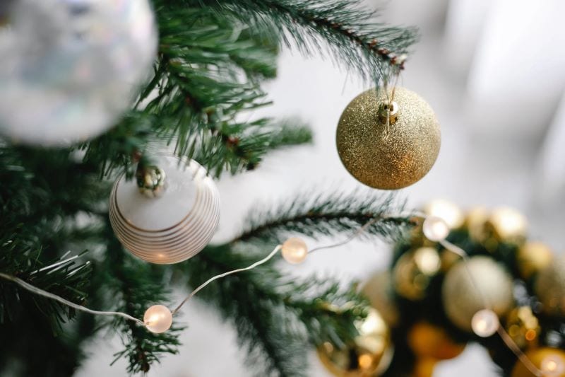 Where to buy flocked trees at cheap prices—the best online stores